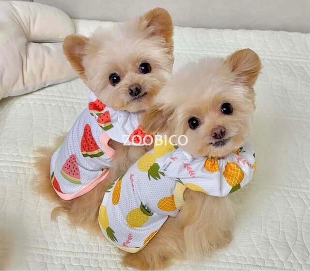 即納【ZOOBICO】Cooling Ice Mesh Sleeveless(pink/Mサイズ)