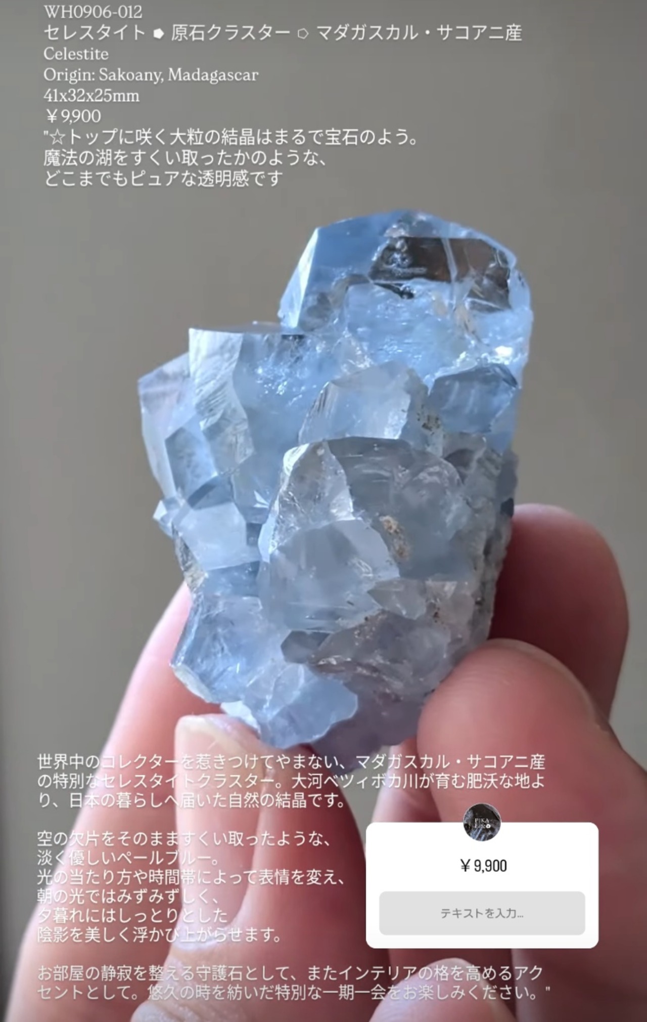 ⭔ お客様専用ページ ✦ chii_209ma