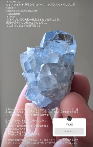 ⭔ お客様専用ページ ✦ chii_209ma