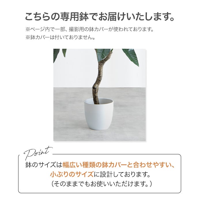 【光触媒/抗菌防臭】人工観葉植物 オリーブ 高さ85cm 観葉植物 オリーブ フェイクグリーン 光触媒人工観葉植物 高さ85cm