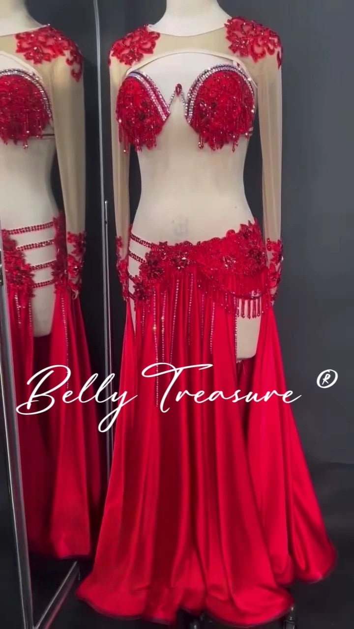 ベリーダンス オーダーメイド衣装 LY 3229-2 202509