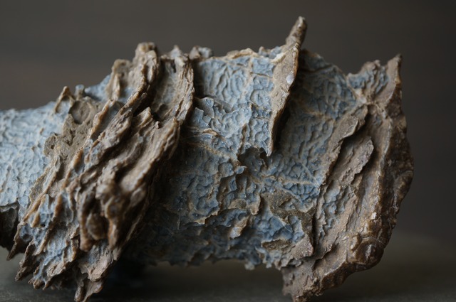 ゴビ砂漠産風凌石 Fengling Stone 2375