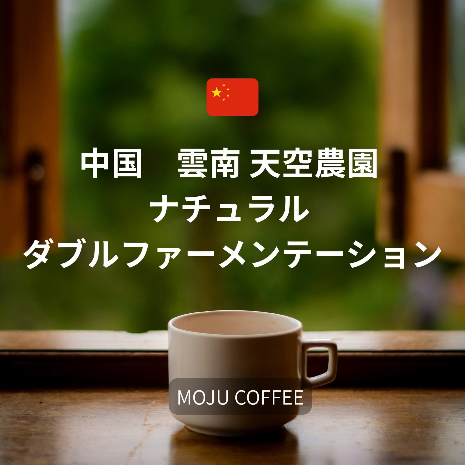 自家焙煎珈琲豆 MOJUCOFFEE 中国雲南 天空農園 ナチュラル ダブル 