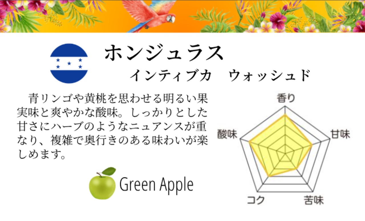 【New!】 ホンジュラス 240g インティブカ ウォッシュド