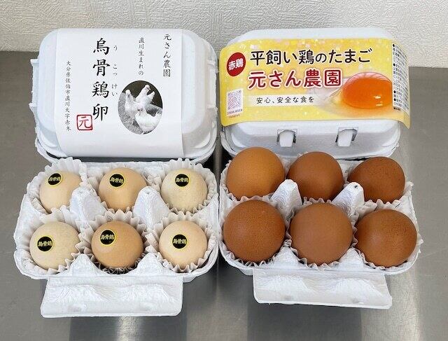 平飼い赤鶏のたまご 1パック10個入り | 元さん農園