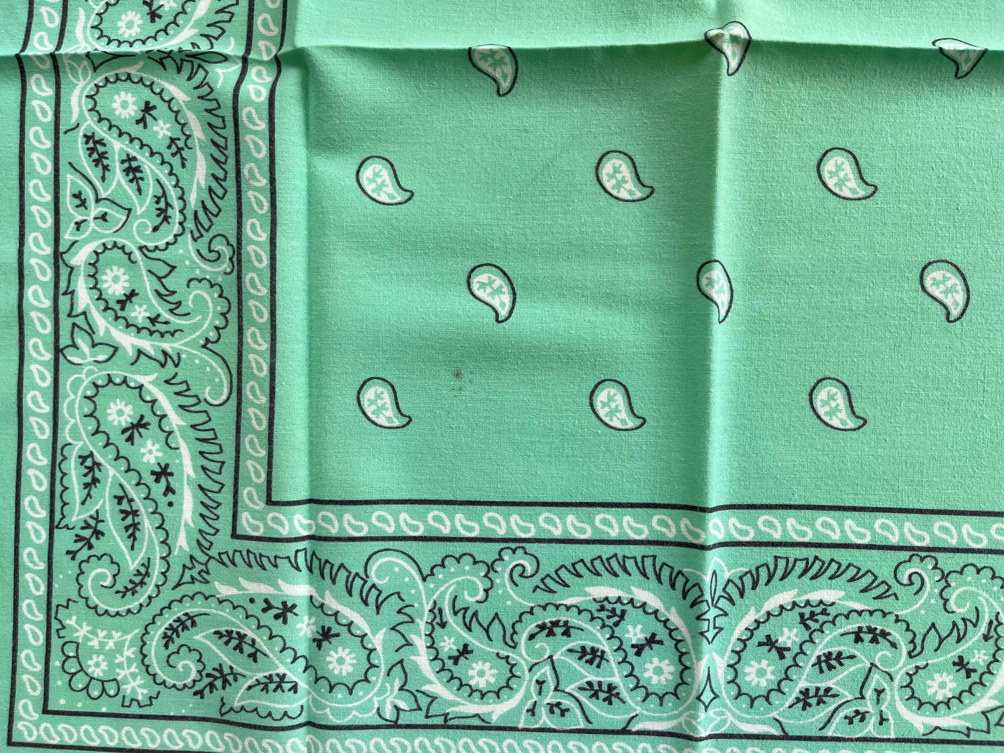 ミントグリーン！】70s~ RN13960 Paris paisley ヴィンテージ バンダナ