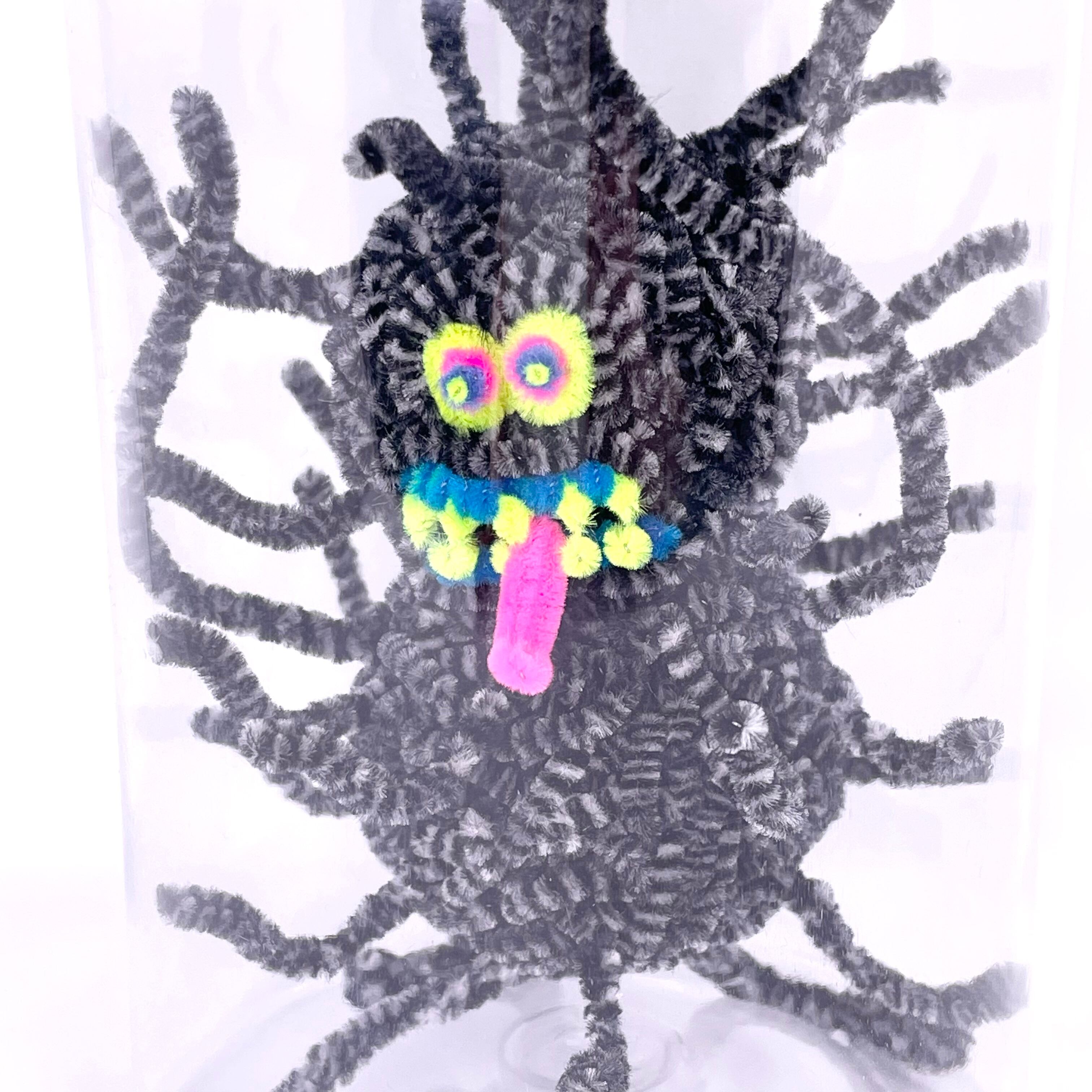 フジサキタクマ | HOW HOUSE