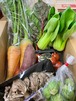 ファミリー向けおまかせ野菜セット