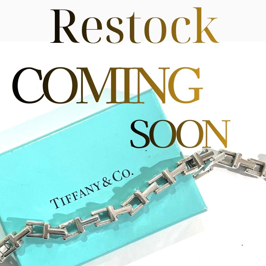 激レア【TIFFANY&CO. 】2095 Tモチーフ リンクシルバーブレスレット