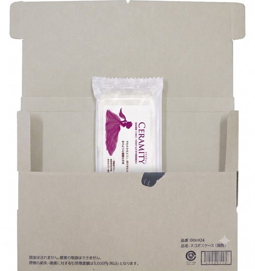 501923　送料無料：お試しセラミティ― (陶磁器粘土)1個パック