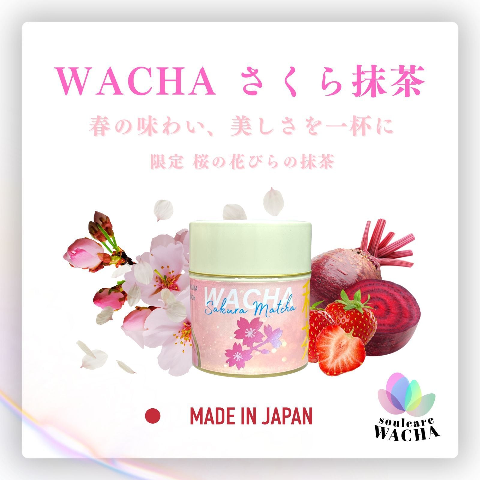 春限定 桜抹茶 花びらギフトセット｜ピンク抹茶20g＋国産フリーズ
