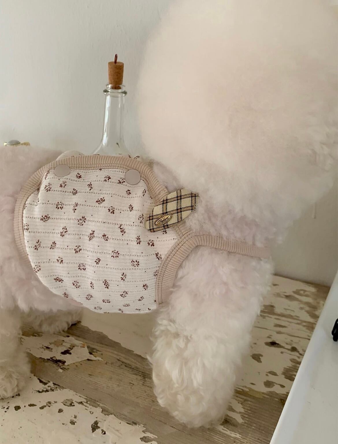 【seenii】pipo! crop top (beige)