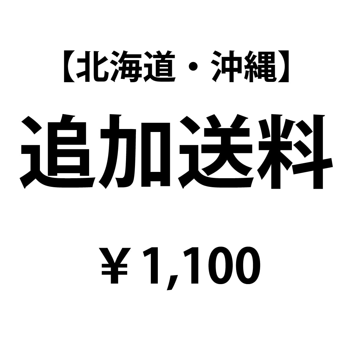 【北海道・沖縄　追加送料】