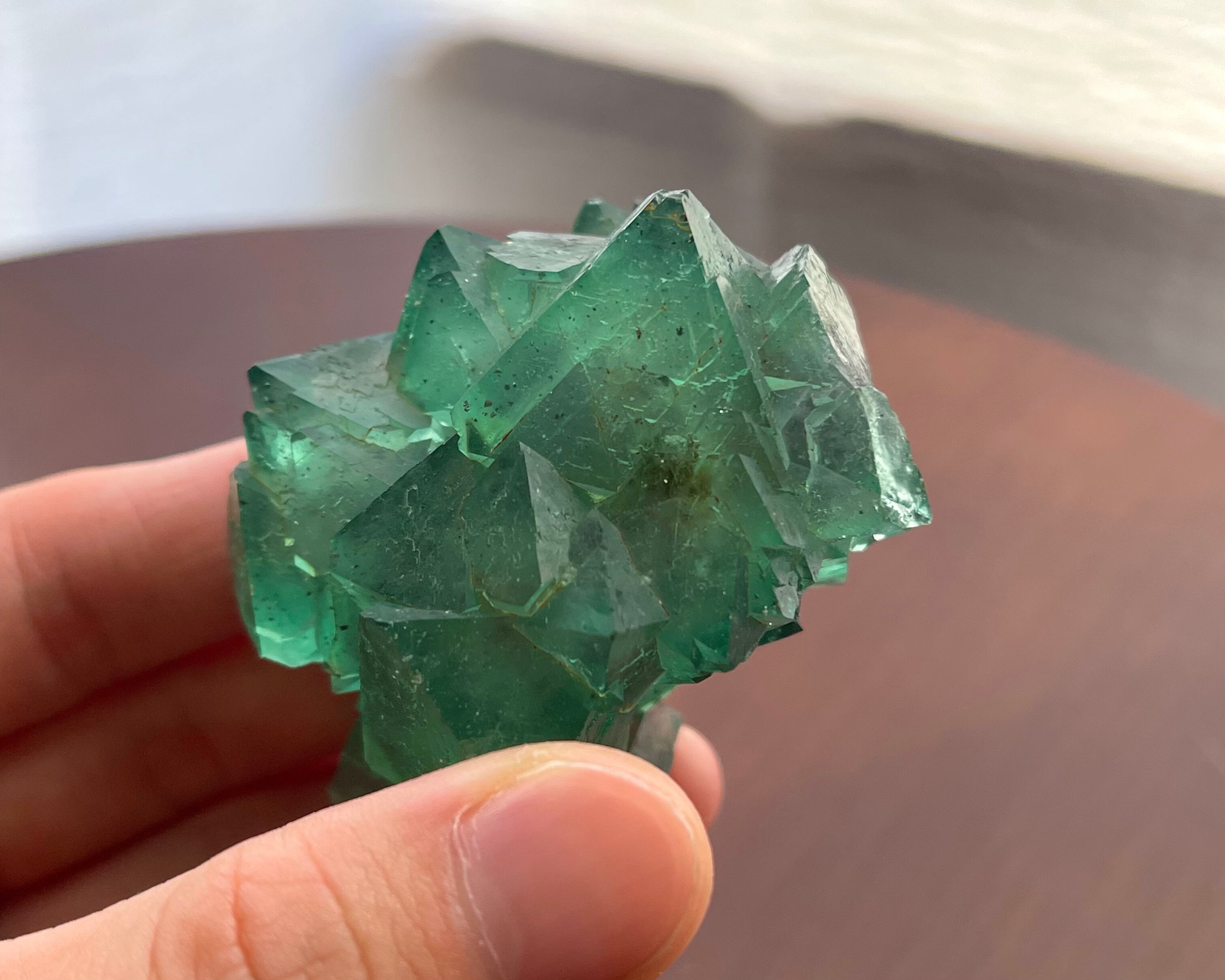 新品同様新品同様チンガー隕石 スライス 25g 鑑賞ケース付き No358