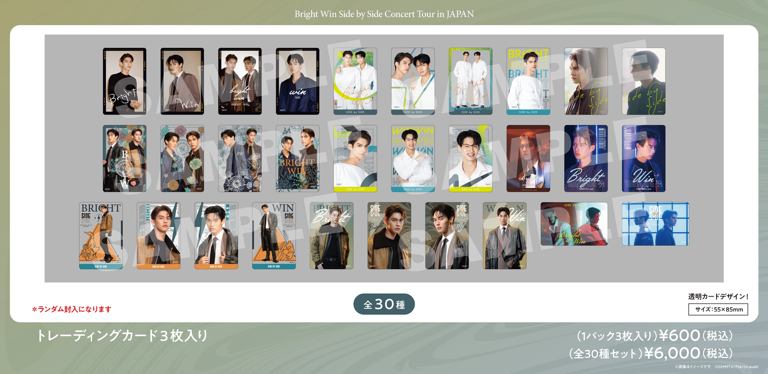 全30種セット】トレーディング カード 3枚入 | Side by Side Tour in