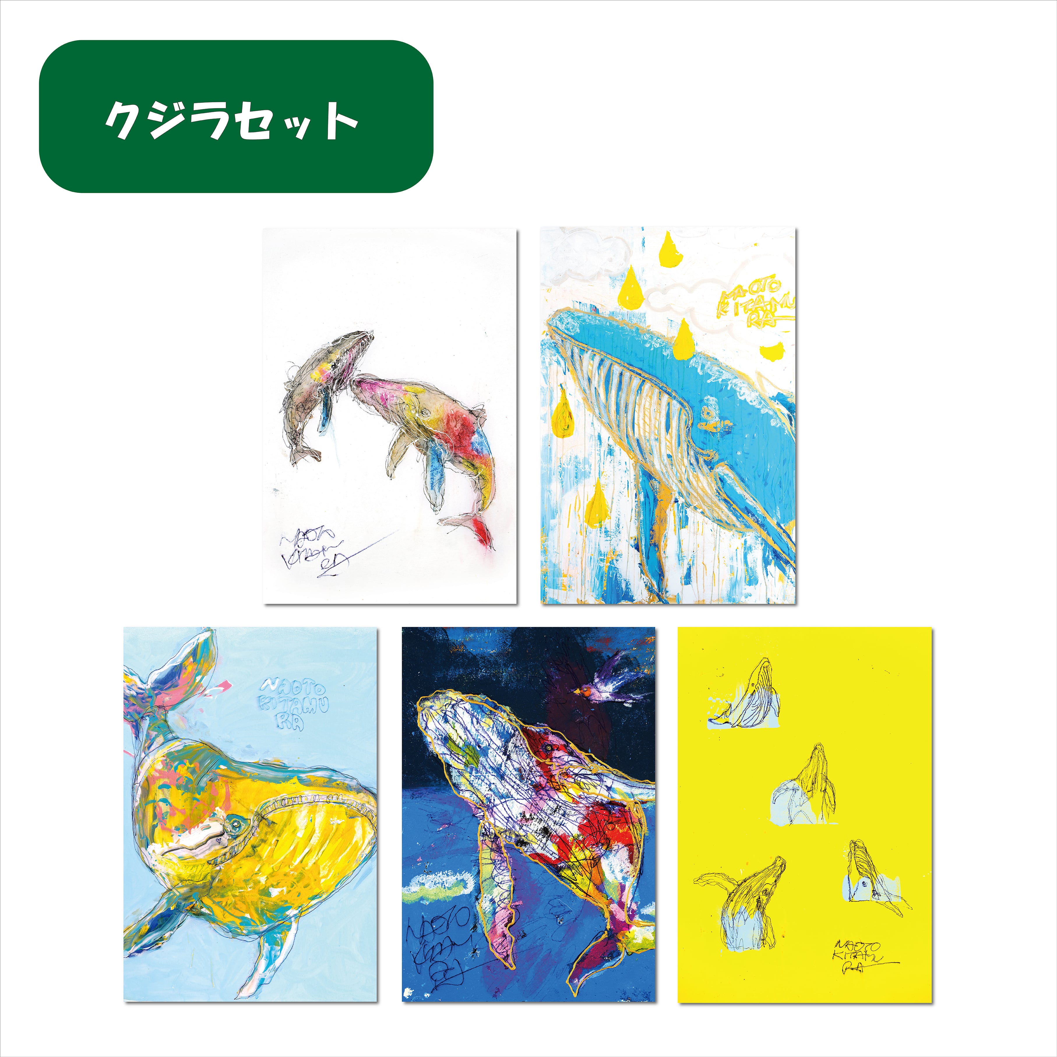 人気動物セット（ポストカード5枚セット） | NAOTO KITAMURA ONLINE STORE