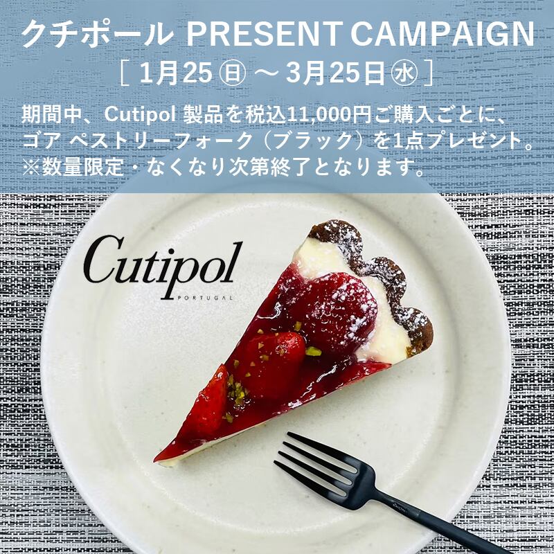 GOA デザート ティースプーン 6点BOXセット アイボリー×ゴールド