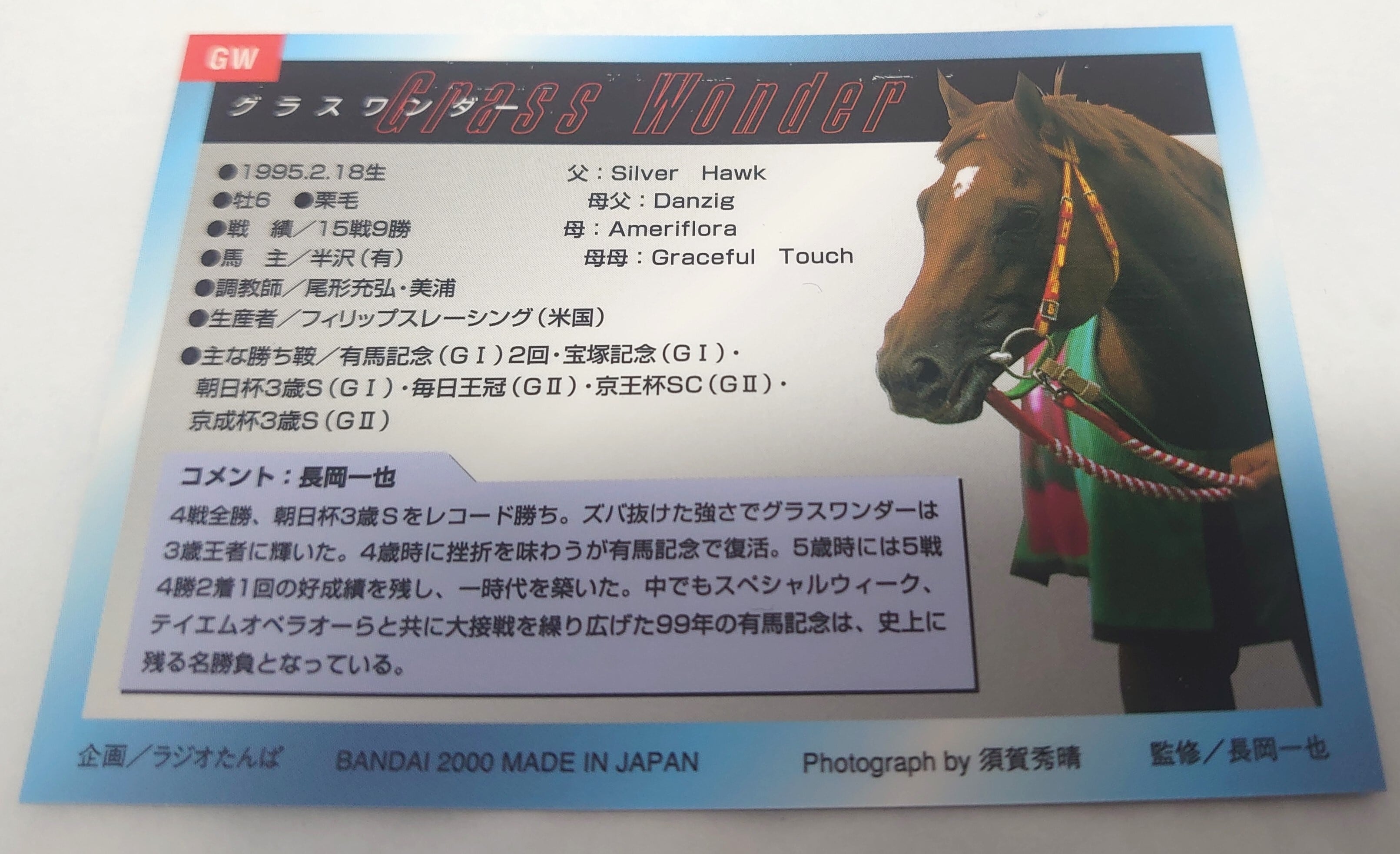 ランクB)グラスワンダー(抽選プレゼント)(通知書付き)「サラブレッド