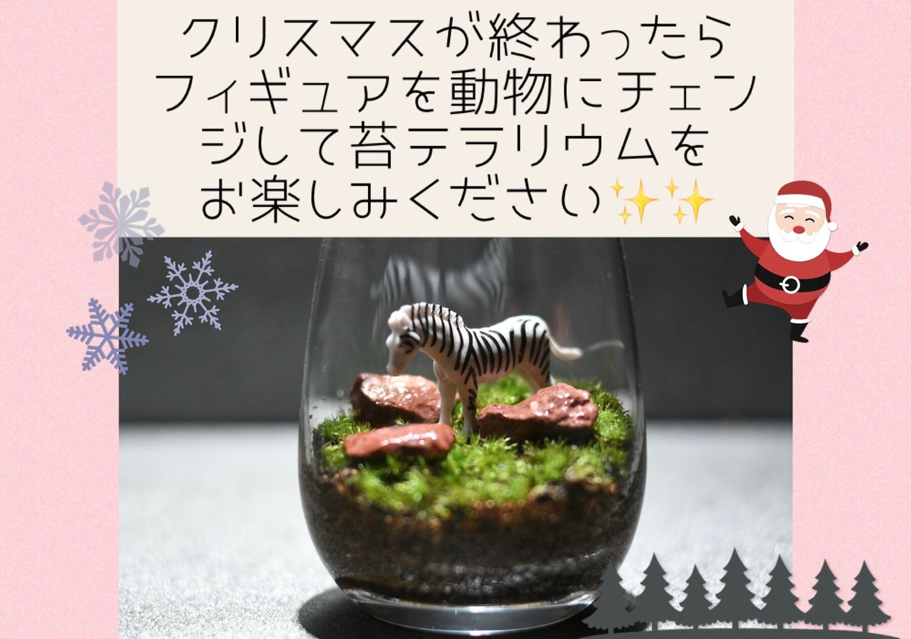 クリスマス 苔テラリウム 099 こけまるほるだ クリスマス 苔テラリウム 099 こけまるほるだ