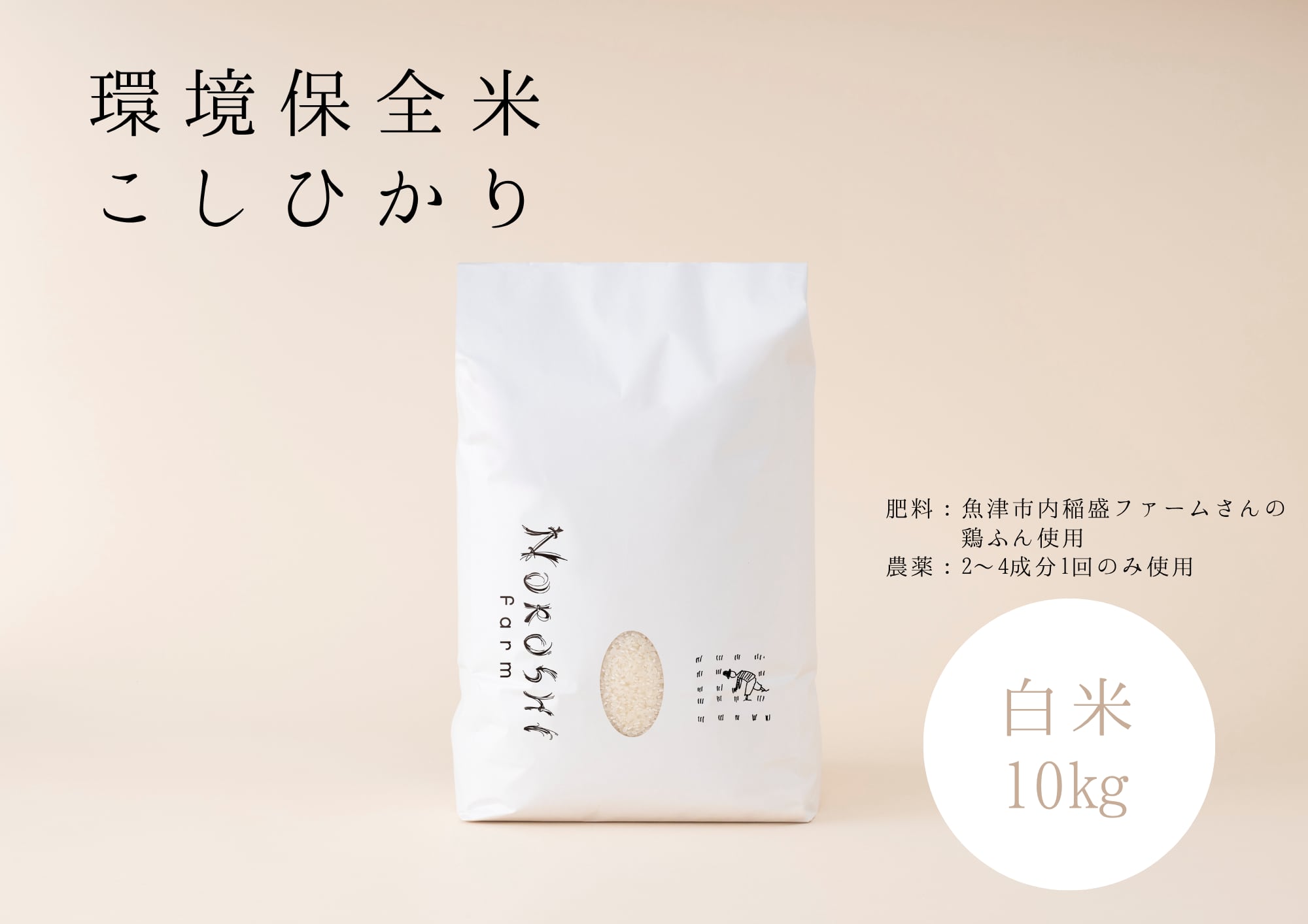【R7年度産】つるぎの麓 コシヒカリ白米10㎏