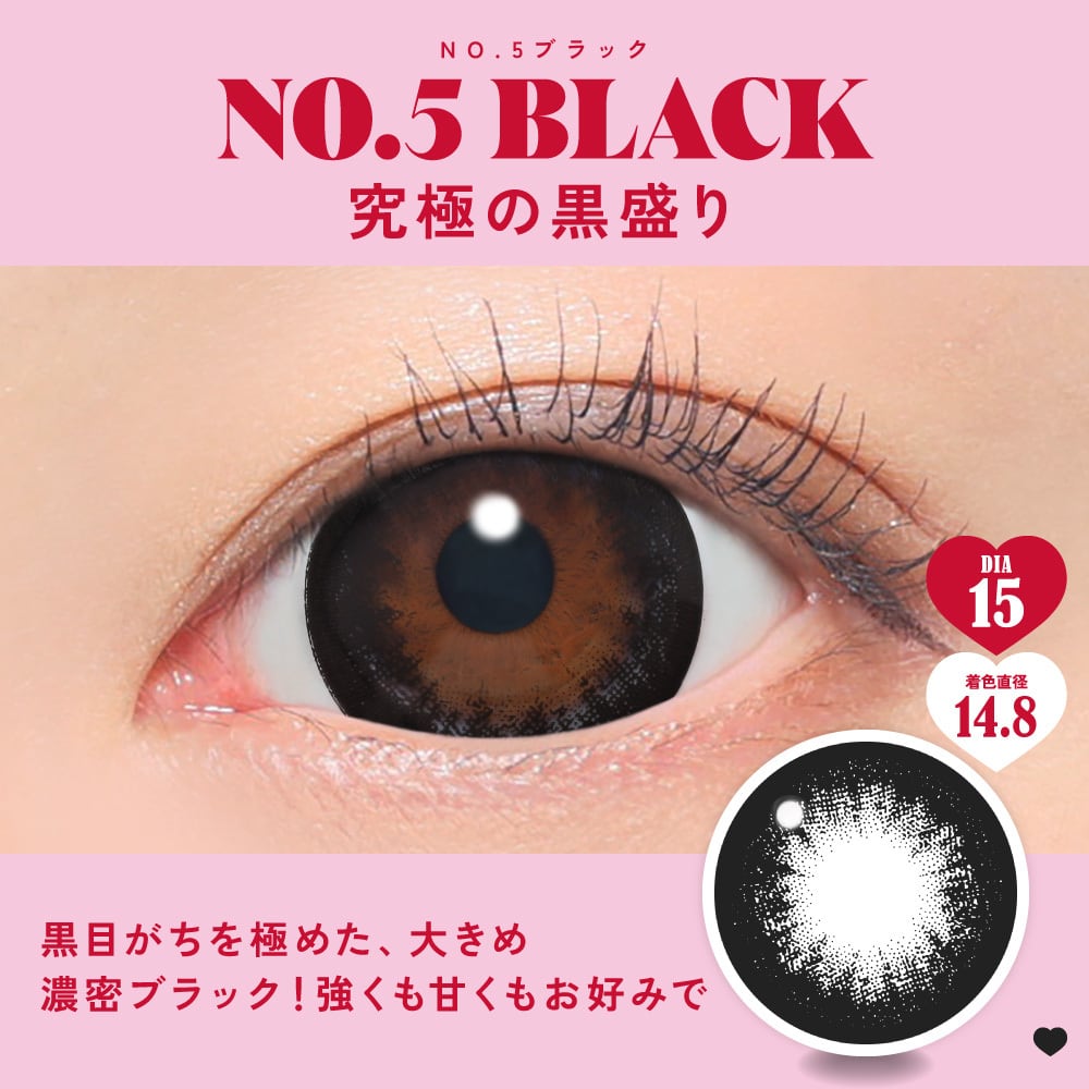 Fabulous（ファビュラス）1day【NO.5 ブラック】1箱10枚入 ワンデー