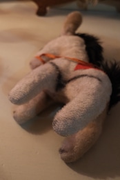 Little donkey plush toy