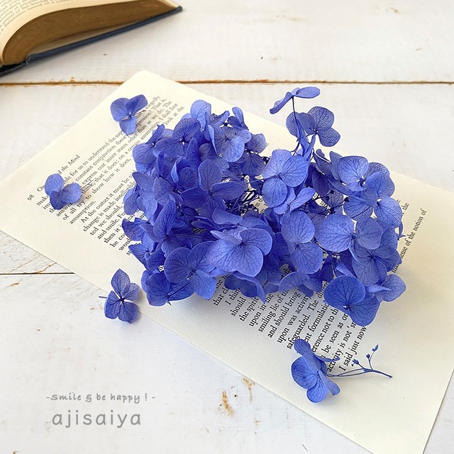 アナベル・プリザーブドフラワー　オリエンタルブルー　枝付き　 ＜ アジサイ 紫陽花 ＞