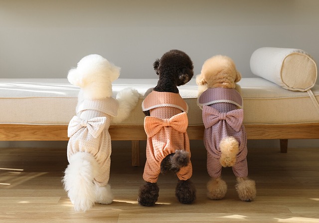 予約販売　Waffle Autumn all-in-one　オールインワン　韓国犬服　ブランドwitiwiti"