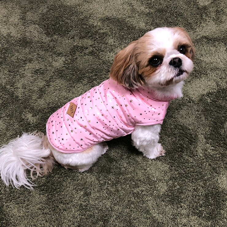 スター柄 ☆ ダウンフリースベスト 星柄 グレー ピンク ブルー 犬 服