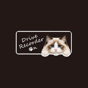 ラグドール・猫・CAT・cat・ドライブレコーダー・ドラレコステッカー・撮影中・車・ステッカー・インクジェット印刷・横型・屋外用・猫好き・ドライブグッズ・監視しています・おもしろい・かわいい・肉球