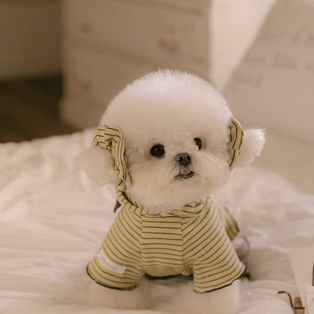 【予約】[kiki&nini] Bow Stripe Hoodie (Green)