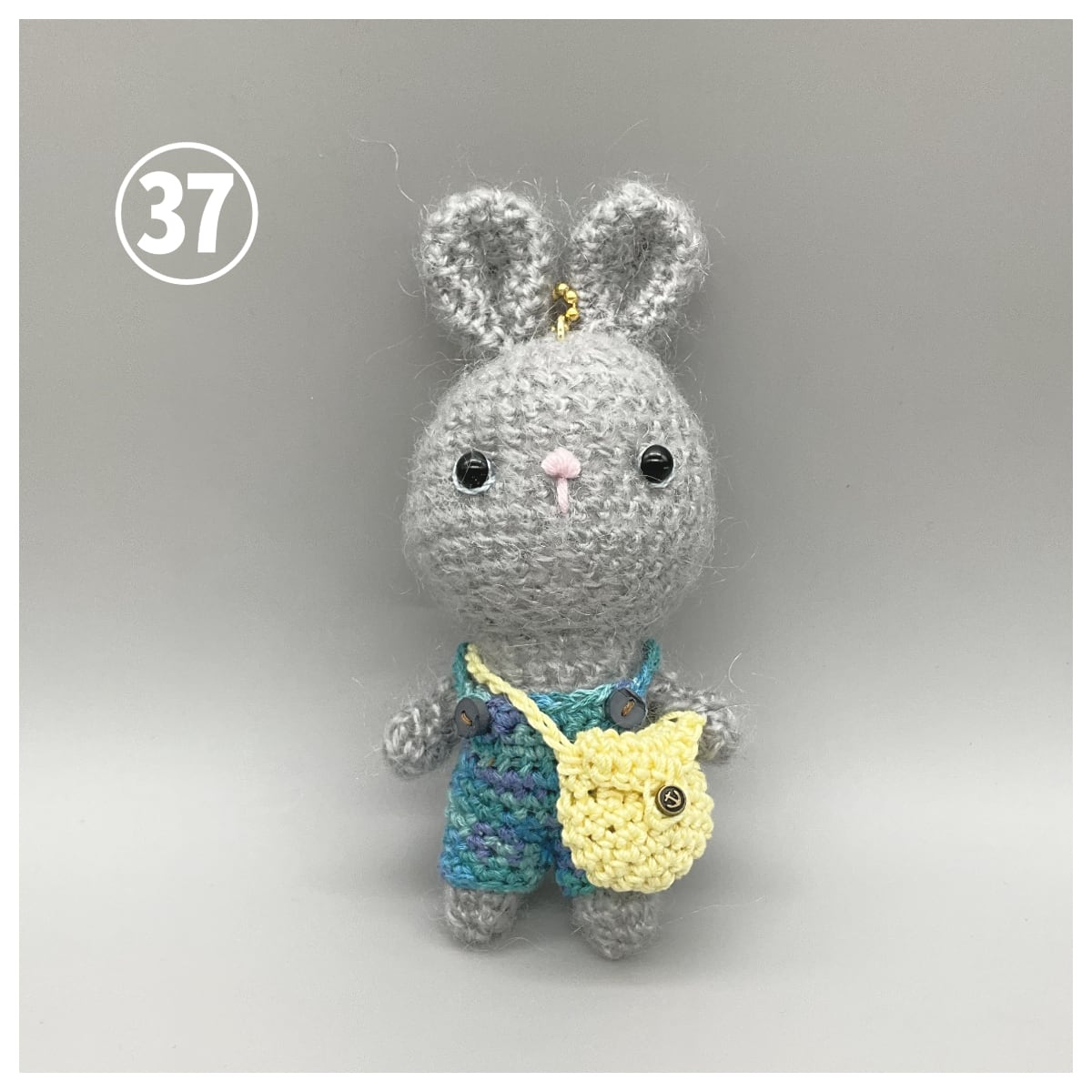 新作入荷♪】森音オリジナル あみぐるみ お散歩うさちゃん. | うさぎ