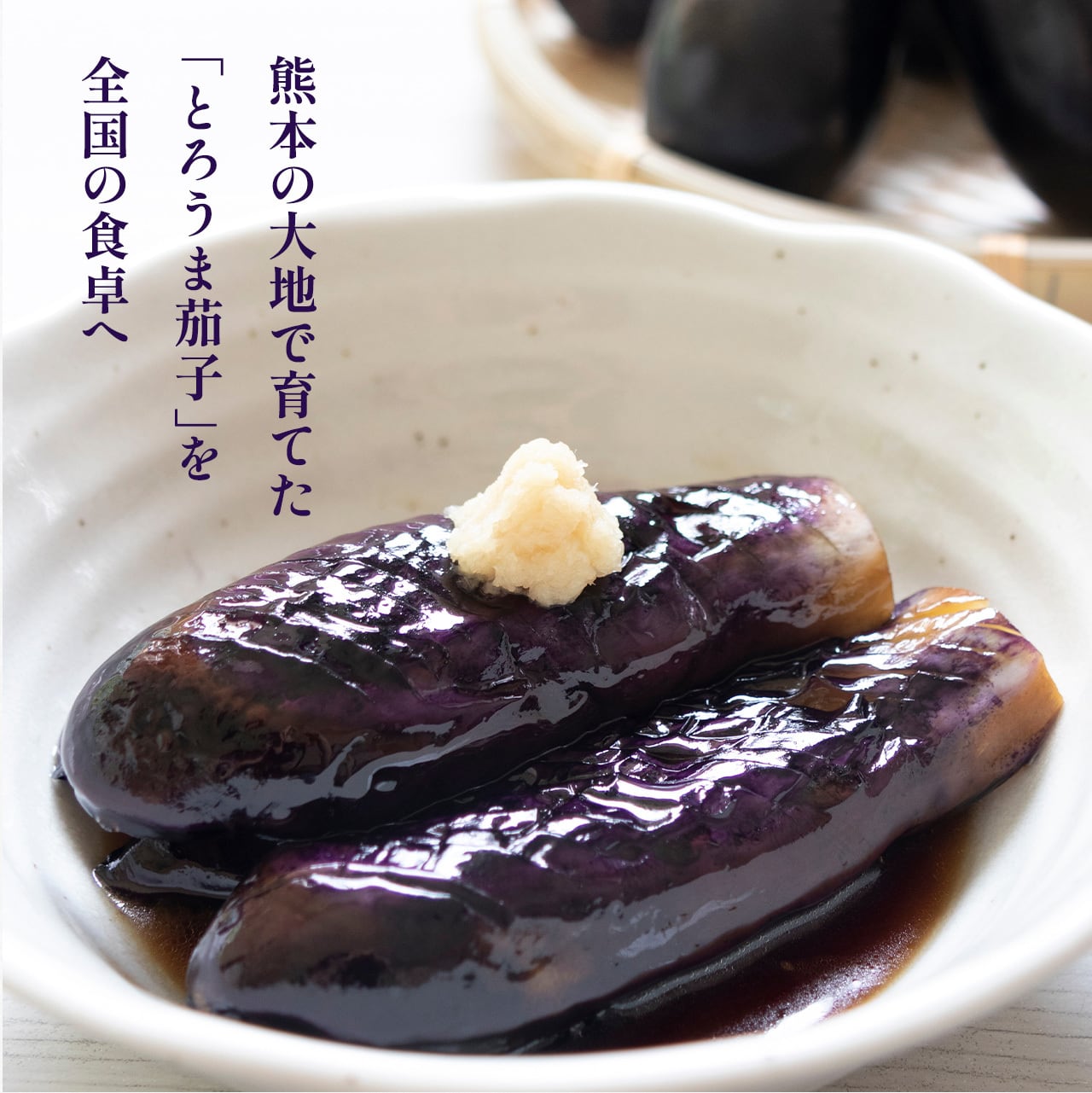 とろうま茄子 3kg(15本~20本) 熊本県産 | yuna