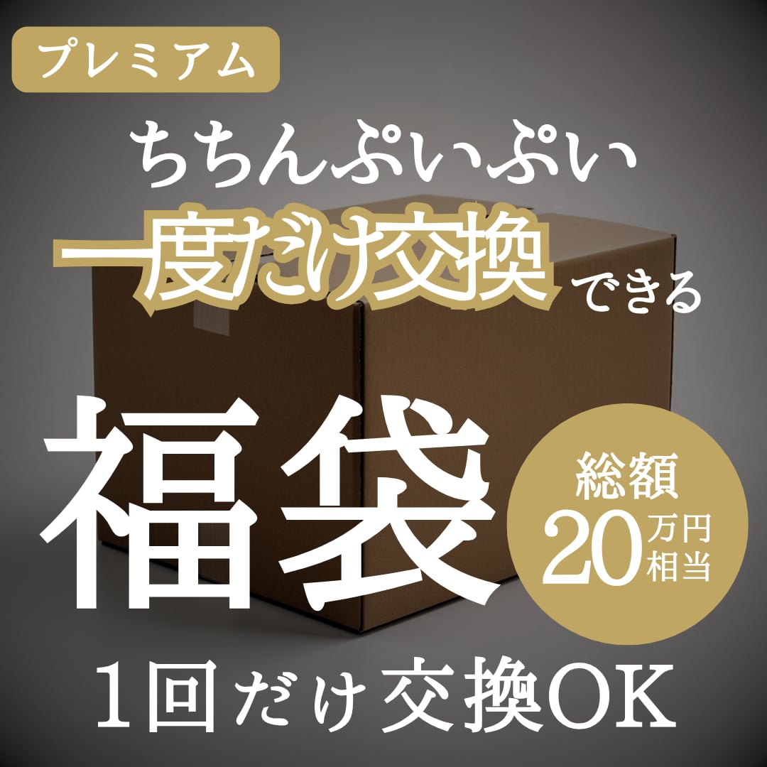 残り1個！】2025年版 ちちんぷいぷい一度だけ交換できる魔法の 福袋
