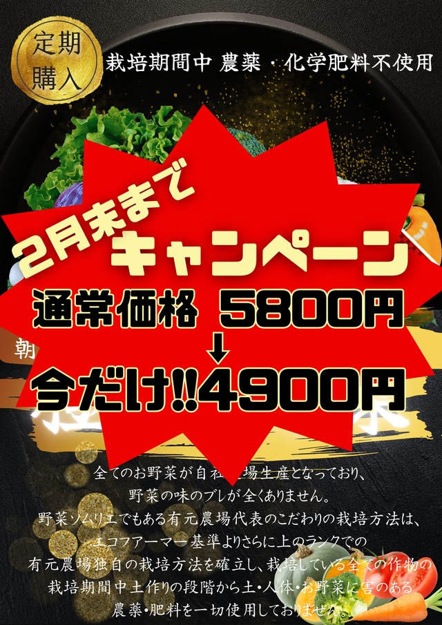 【月１回 定期便１２種】有元農場『極・お野菜』ゲンセン霧島星６つ