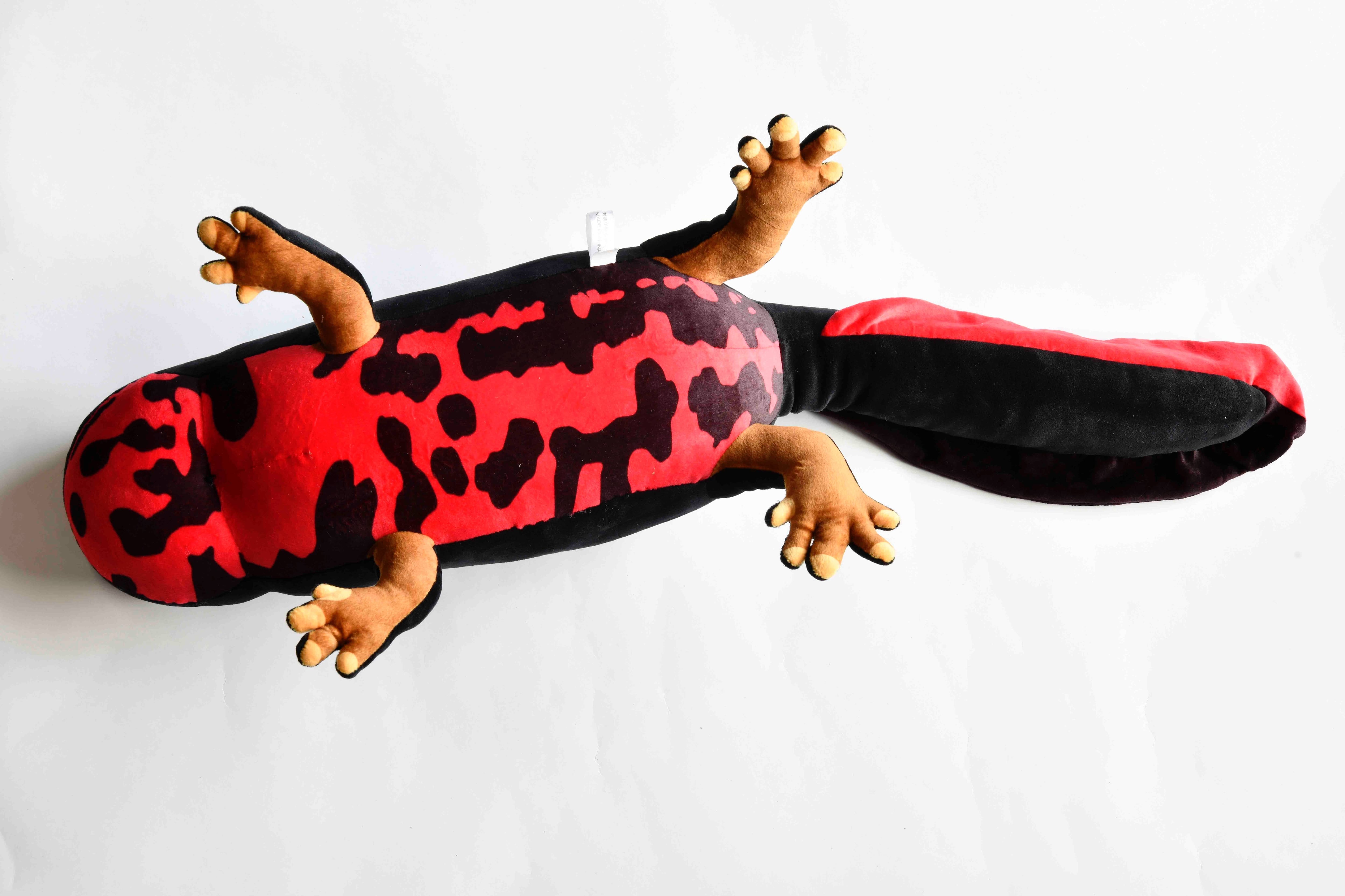 アカハライモリ大（75cm）ぬいぐるみ | 日本両棲類研究所