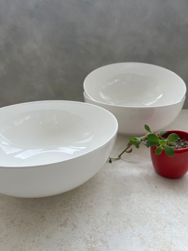 ミヤザキエチュードボーンチャイナ22㎝ボール