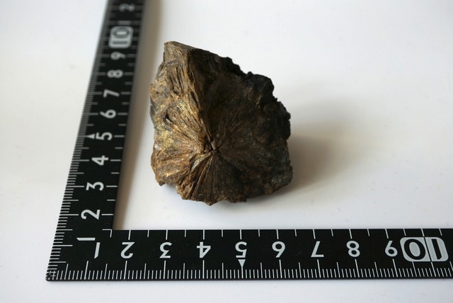 エンスタタイト Enstatite 850