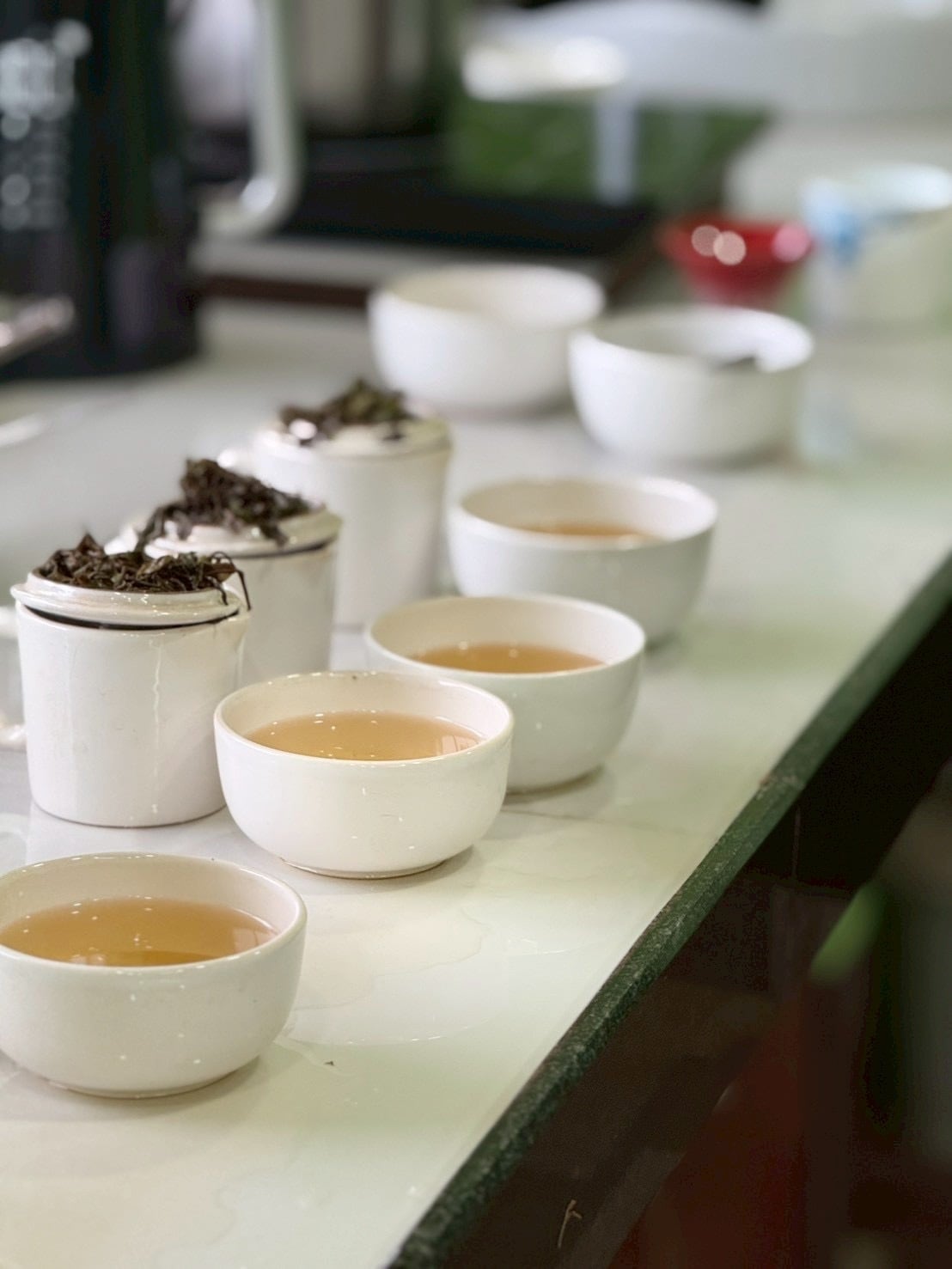 ダージリン ファーストフラッシュ2026 ギダパハール茶園 チャイナ