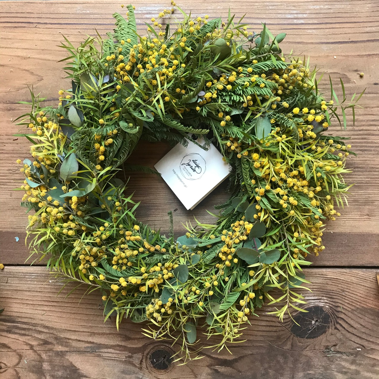 ミモザとティーツリーのリース　φ23