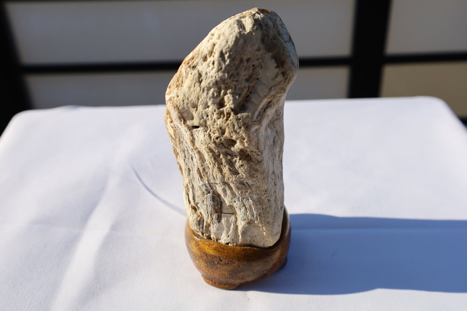 石収集家 珪化木 鑑賞石 自然石 人生コレクション 珪化木 天然石 鑑賞石