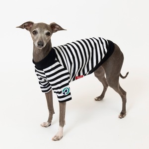 ボーダーTシャツ　black / イタグレ服