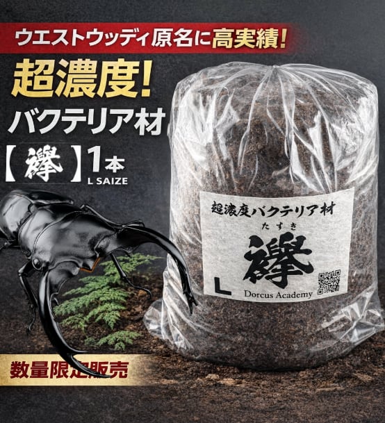 バクテリア材 19本セット バクテリア材 | BASE店 ナラ材 □バクテリア