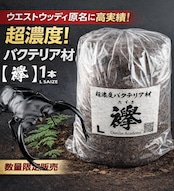 超濃度バクテリア材【襷】Lサイズ 1本