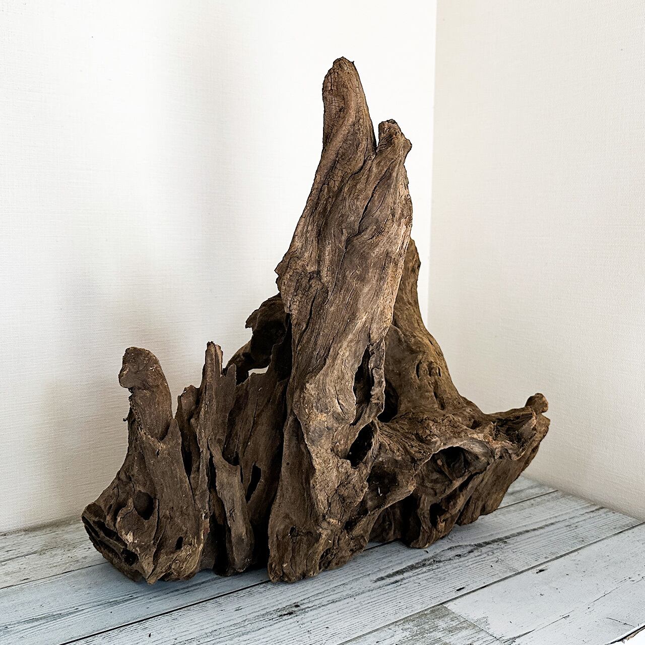 堂々たる姿に見る人を魅了する流木】マウンテンウッド/ Mountain wood 