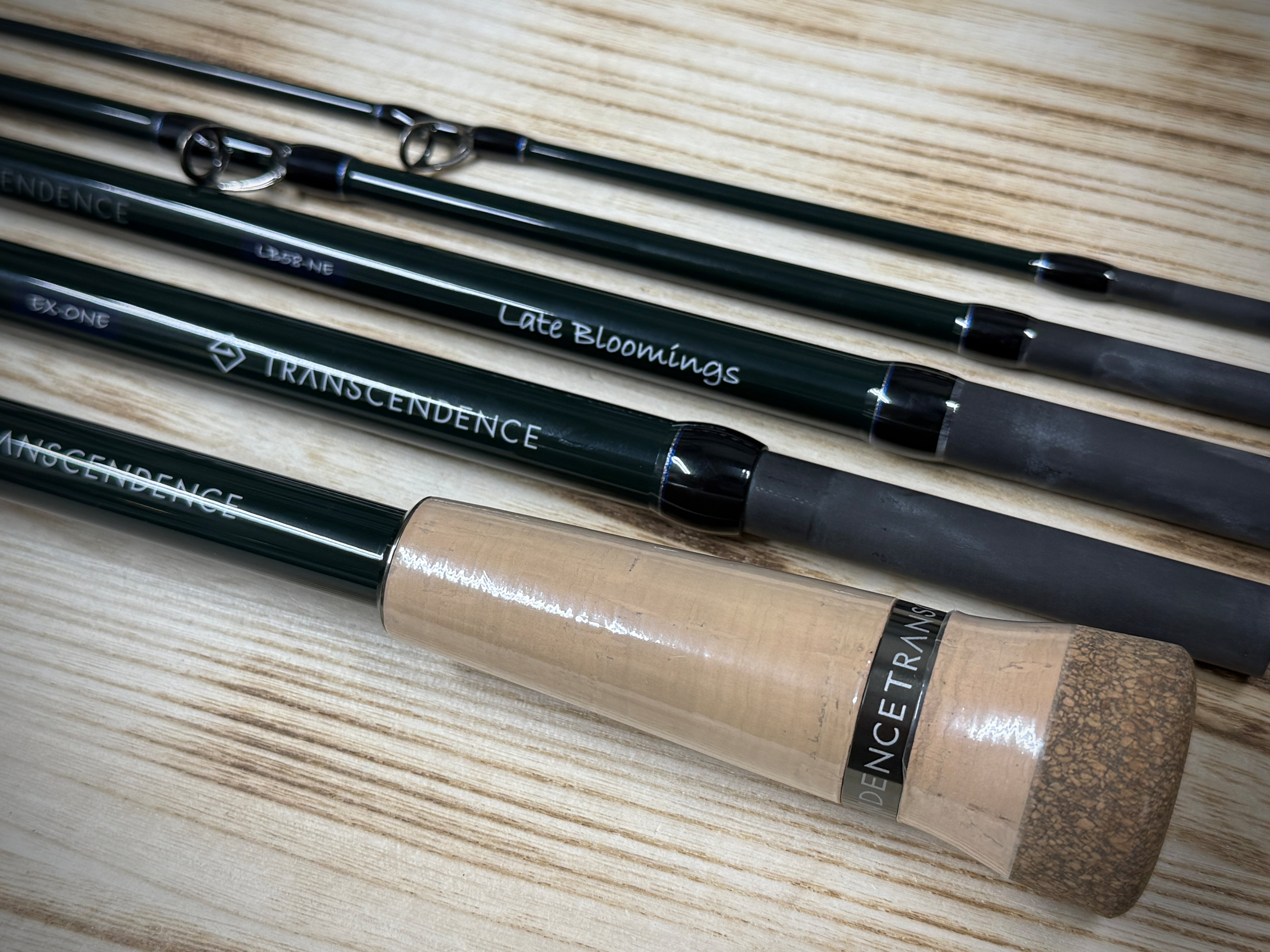 TRANSCENDENCE LATE BLOOMINGS North Edition 58+ レイトブルーミング