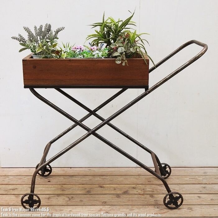 アジアンファクトリー