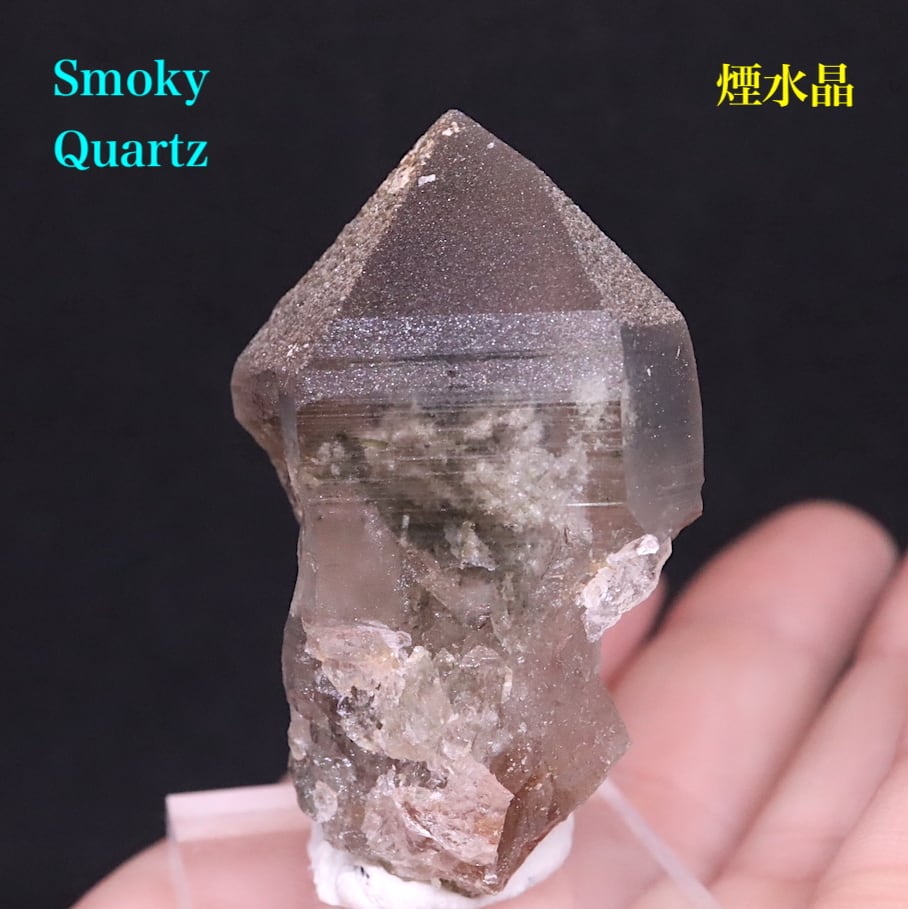 スモーキー クォーツ 煙水晶 31,9g SQZ087 鉱物　原石　天然石　パワーストーン | 鉱物 天然石 American Minerals +  Gemmy You powered by BASE