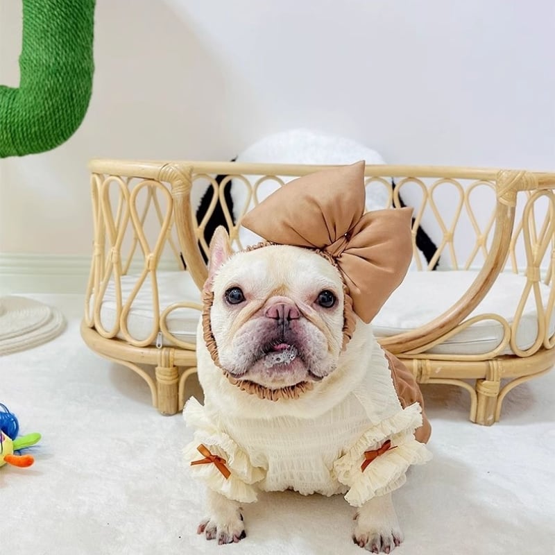 フレンチブルドッグ・パグ用リボン付ドレス 00188 | Pay ID