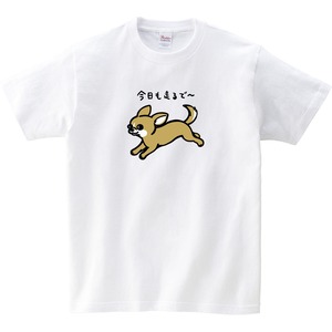 選べる 癒され チワワ イラスト tシャツ dog81 服 ゆるい かわいい イラスト